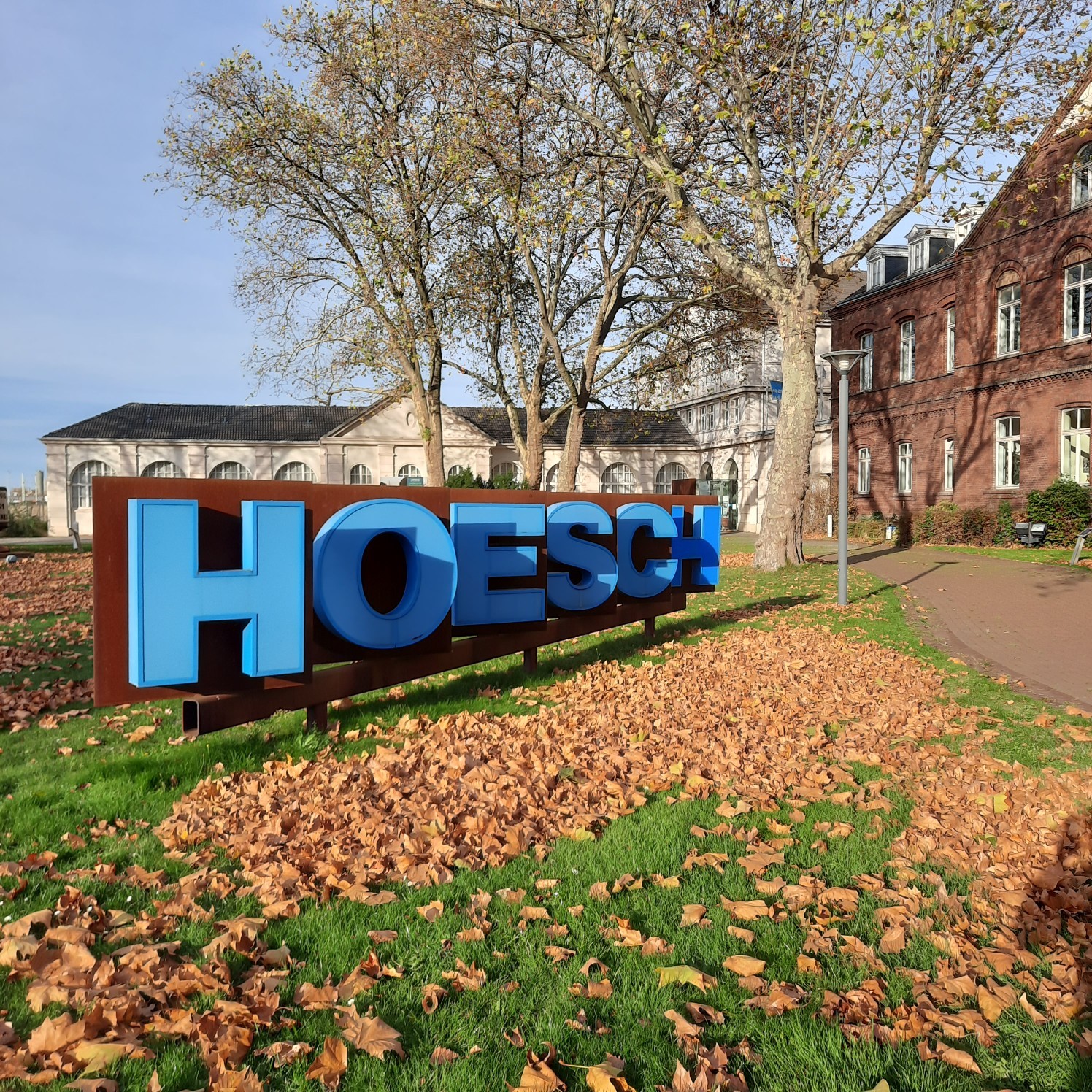 Hoesch2